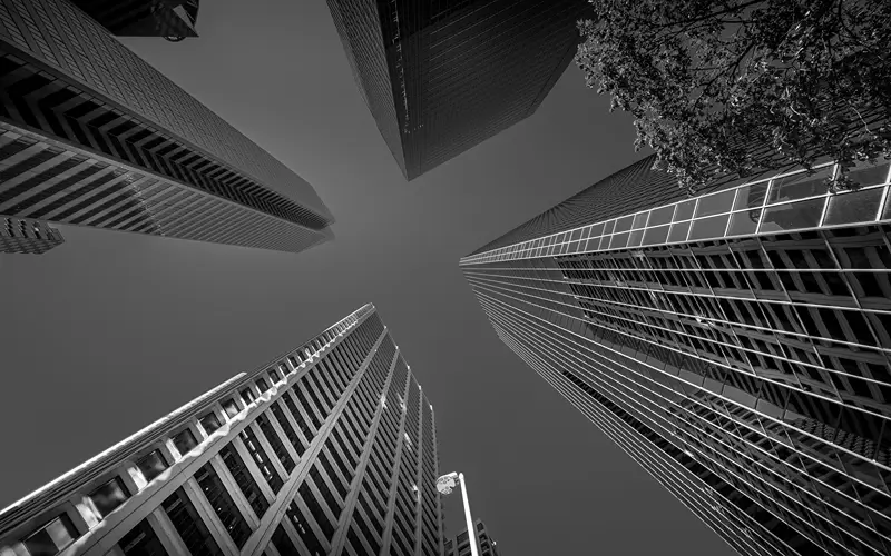 Embedded partnerships - From Alignment